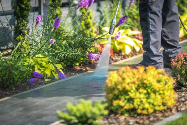 Best Gutter Cleaning  in Barrington, NJ